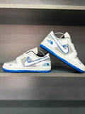 NIKE DUNK PRO